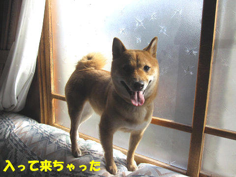 resize5604.jpg