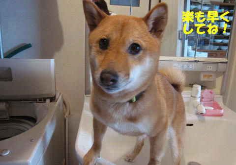 resize5606.jpg
