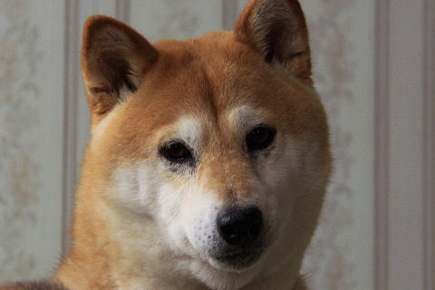 resize5607.jpg