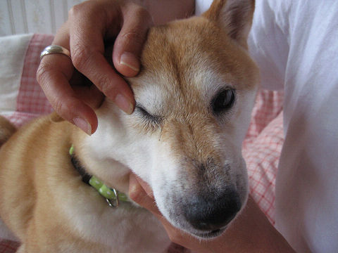 resize5608.jpg