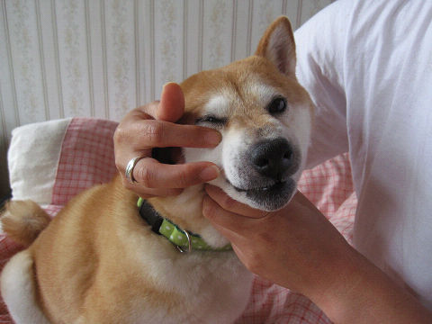 resize5609.jpg