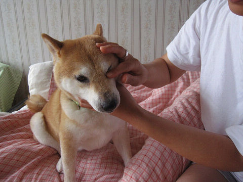resize5610.jpg