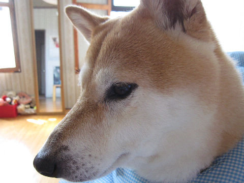 resize5612.jpg