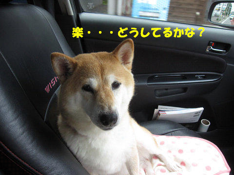 resize5856.jpg