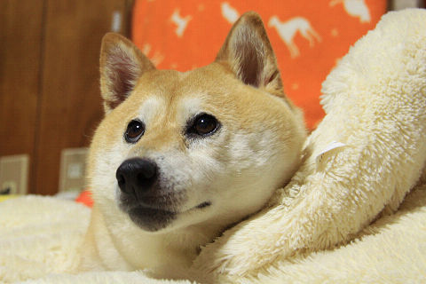 resize5897.jpg