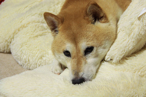 resize5900.jpg
