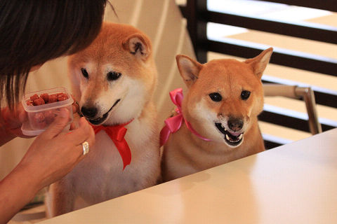 resize5966.jpg