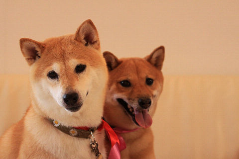 resize5968.jpg