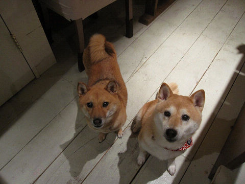 resize6343.jpg