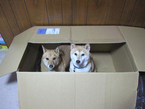 resize6542.jpg