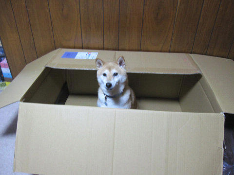 resize6543.jpg