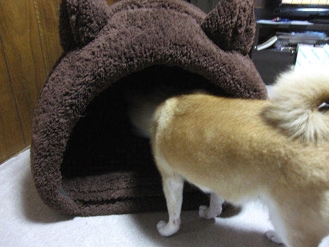 resize6544.jpg