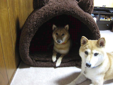 resize6545.jpg