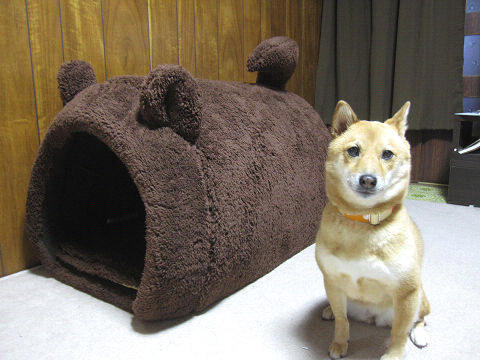 resize6546.jpg