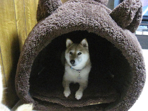 resize6547.jpg