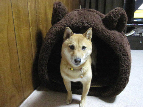 resize6549.jpg