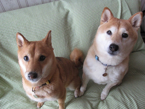 resize6755.jpg