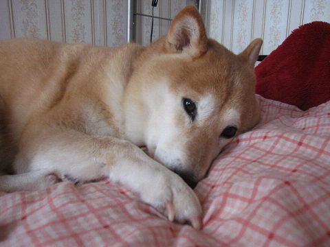 resize6758.jpg