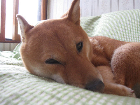 resize6759.jpg