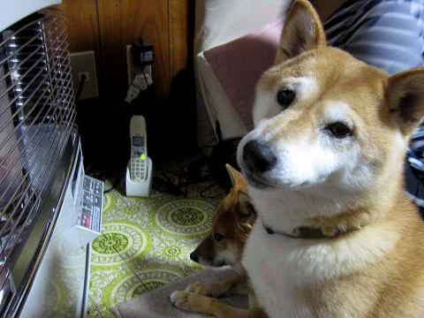 resize6770.jpg