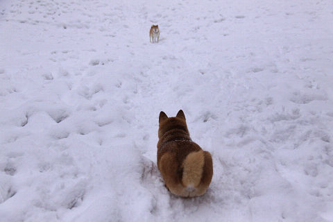 resize6888.jpg