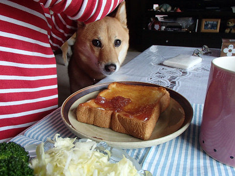 resize6958.jpg