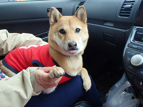 resize7030.jpg