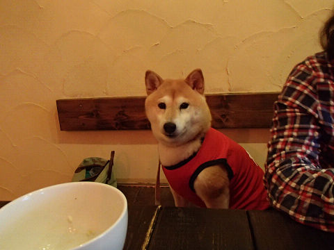 resize7037.jpg