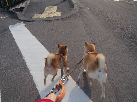 resize7091.jpg
