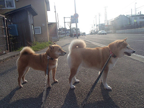 resize7096.jpg
