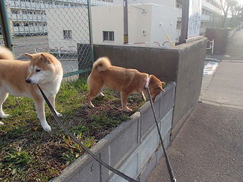 resize7100.jpg