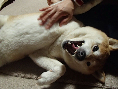 resize7405.jpg
