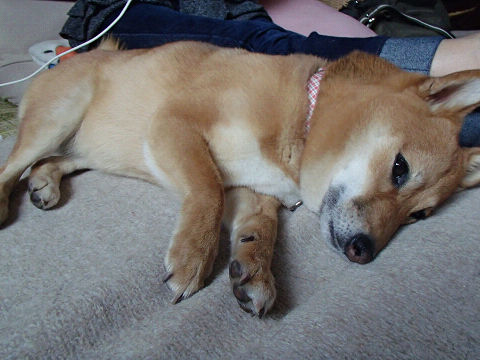 resize7406.jpg