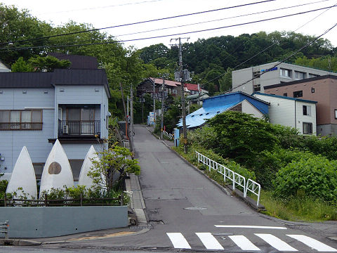 resize7407.jpg