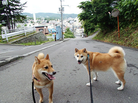 resize7410.jpg