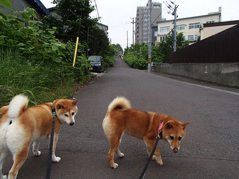 resize7412.jpg