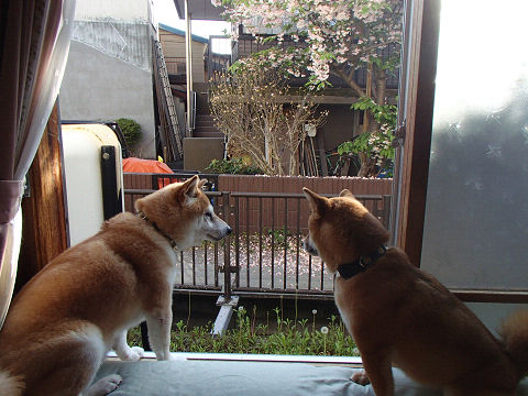 resize7416.jpg