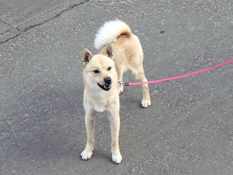 resize7418.jpg