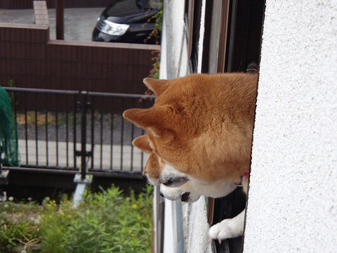 resize7419.jpg