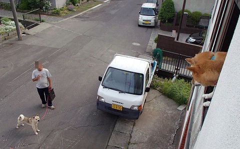 resize7420.jpg