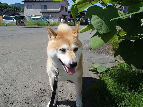 resize7422.jpg