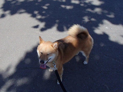 resize7423.jpg