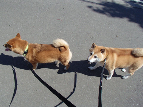 resize7424.jpg