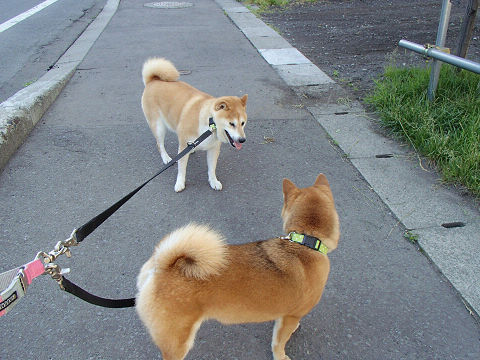 resize7425.jpg