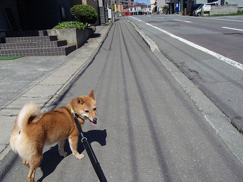 resize7427.jpg