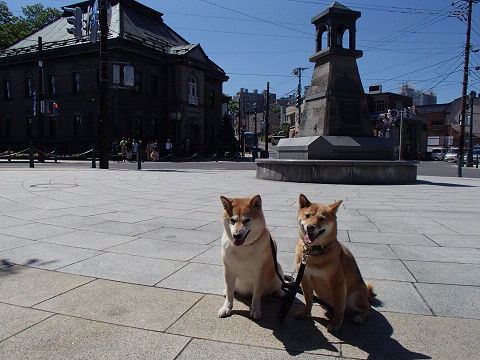 resize7431.jpg