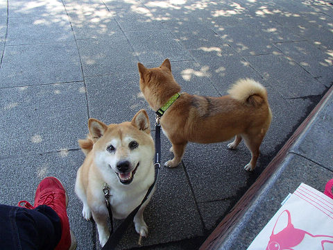 resize7432.jpg