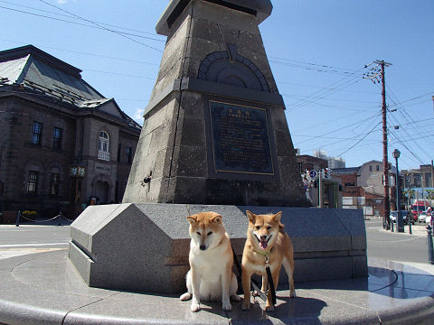 resize7433.jpg