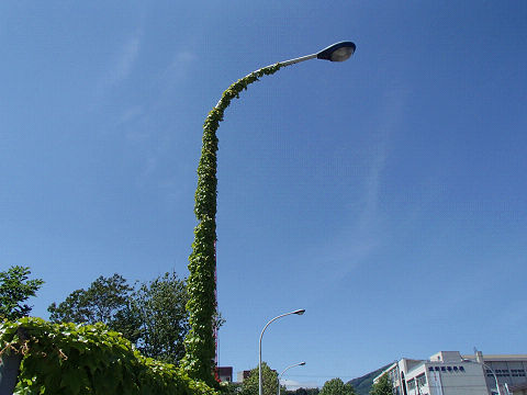 resize7434.jpg