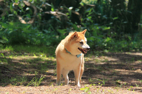 resize7439.jpg